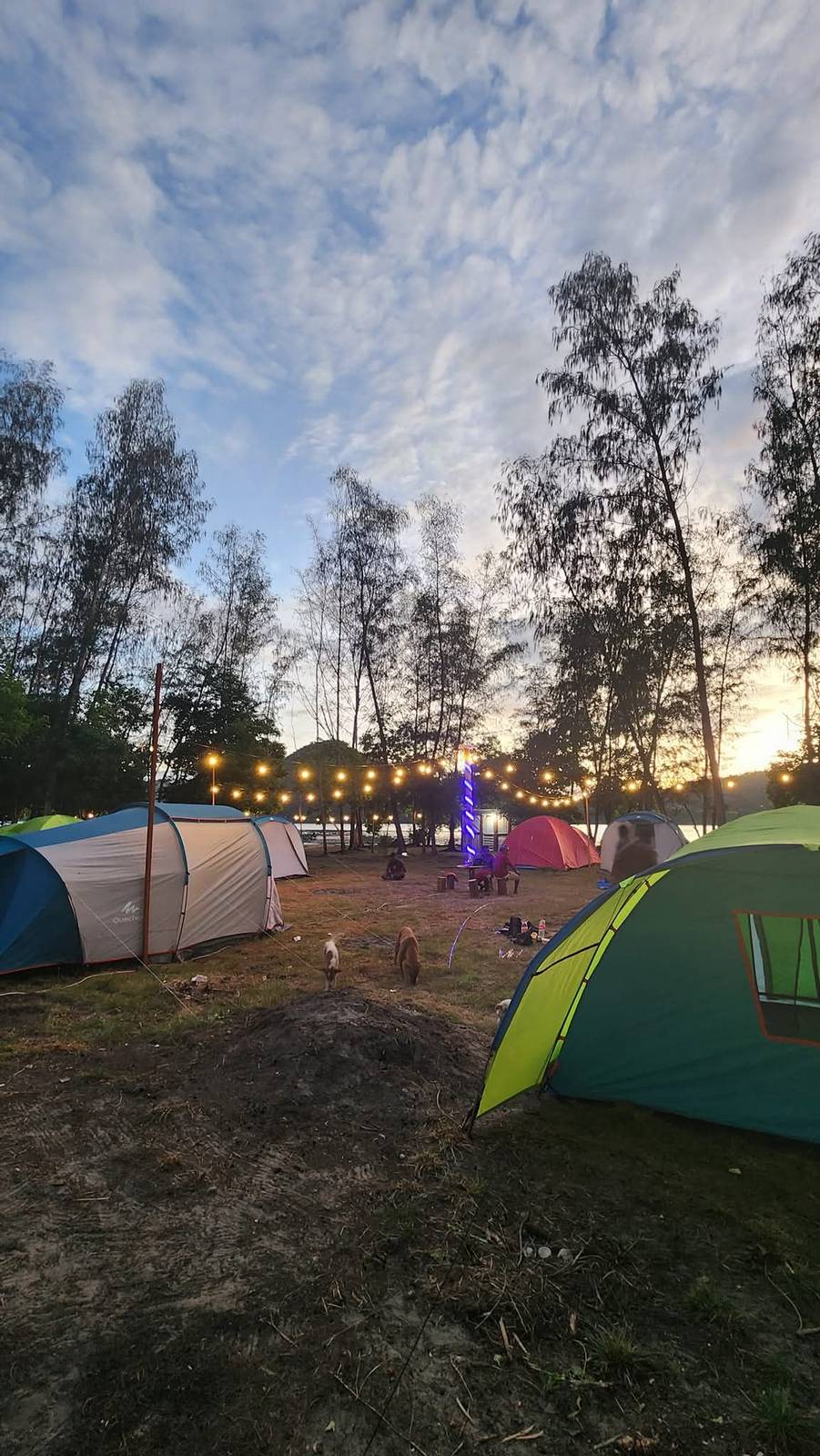 Area camping Injros View saat senja: tenda dome berwarna, lampu gantung, pepohonan, dan laut Teluk Youtefa di belakang